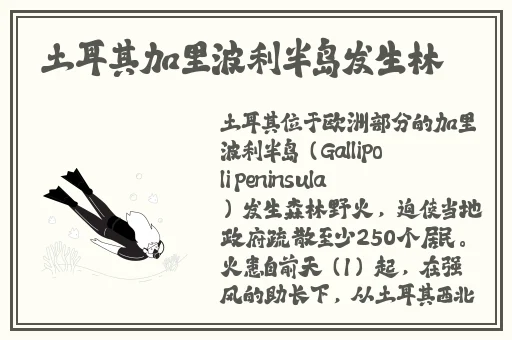 幼儿hiphop仙踪林的推荐